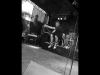 spermbirds-jump-03