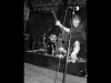 spermbirds-jump-04